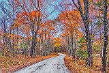 Autumn Back Road_P1210009-11